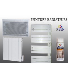 la Peinture Bombe pour Radiateur
