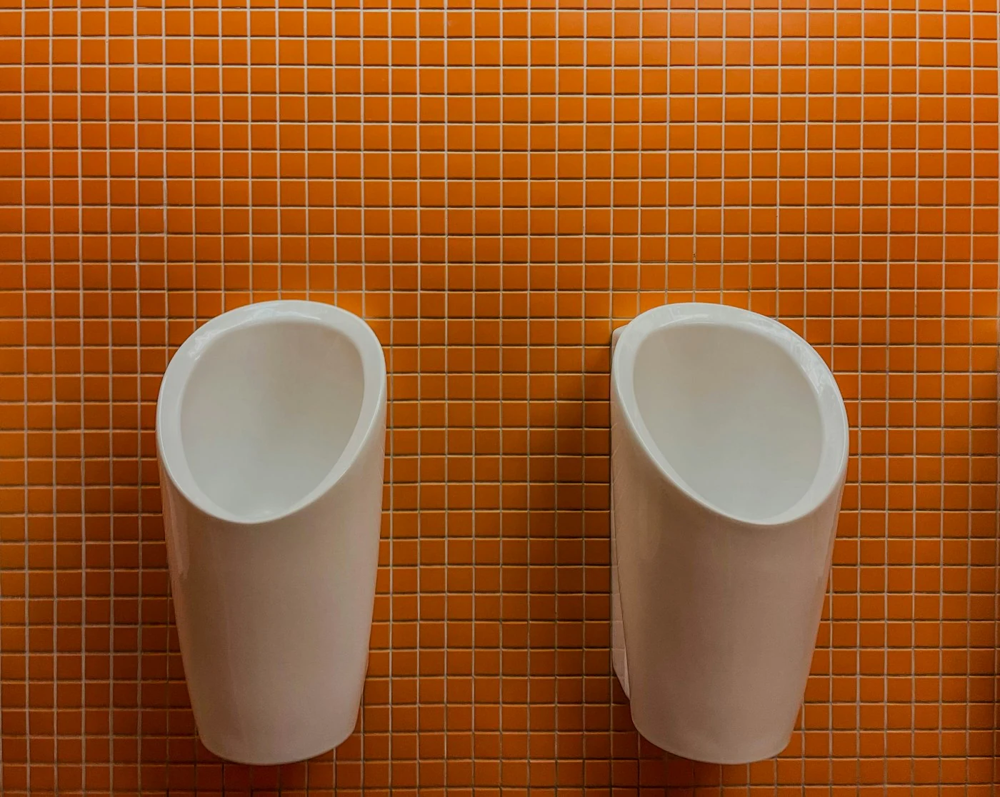 Débouchage urinoir entreprise avec deux urinoirs dans des sanitaires professionnels