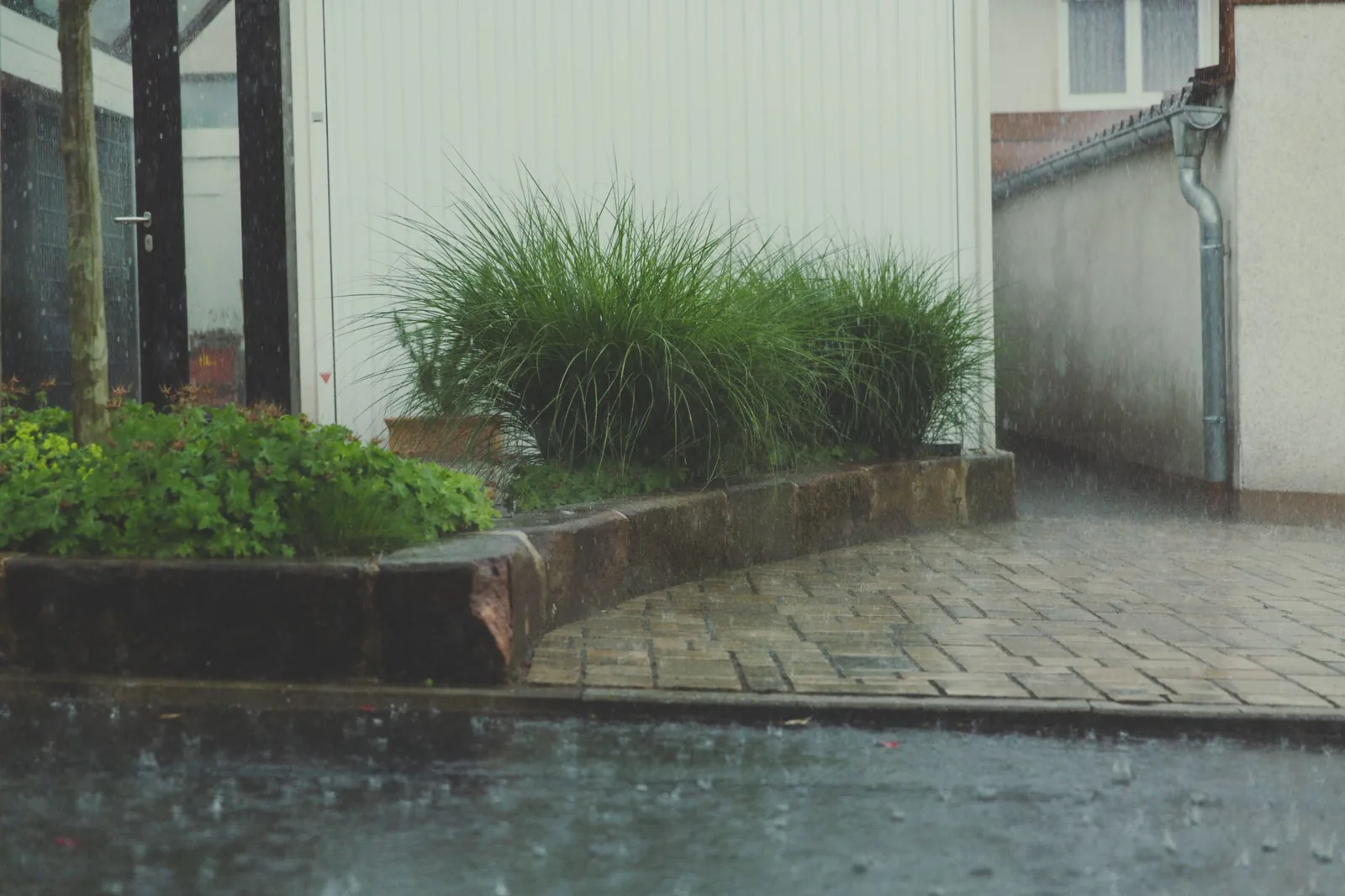 Odeur d’égout après la pluie près d’un regard extérieur humide