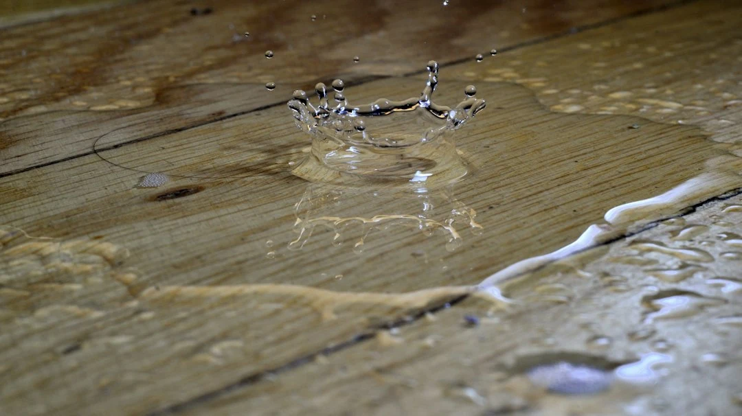 Fuite sous parquet après dégât des eaux avec lame de bois humide dans un logement
