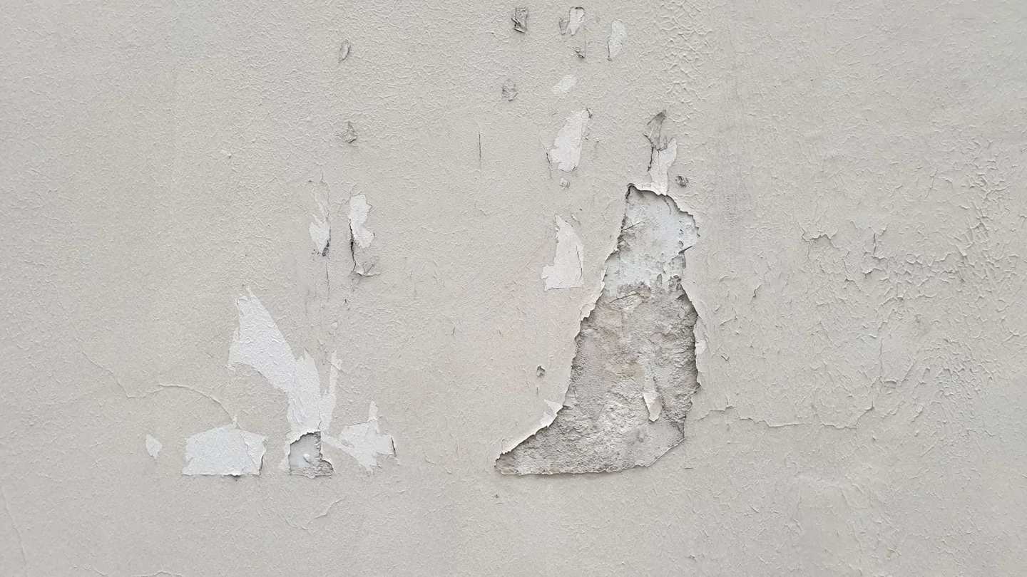 Bas de mur humide avec plinthe marquée avant recherche de fuite
