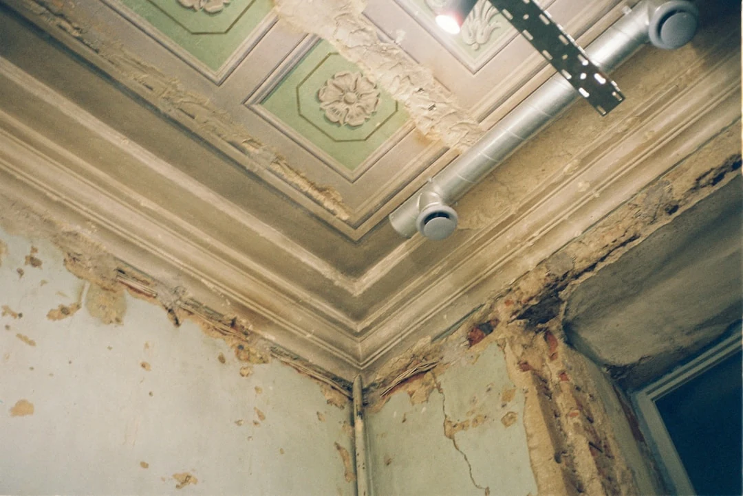 Contrôle d humidité au plafond pour distinguer fuite active et ancienne trace