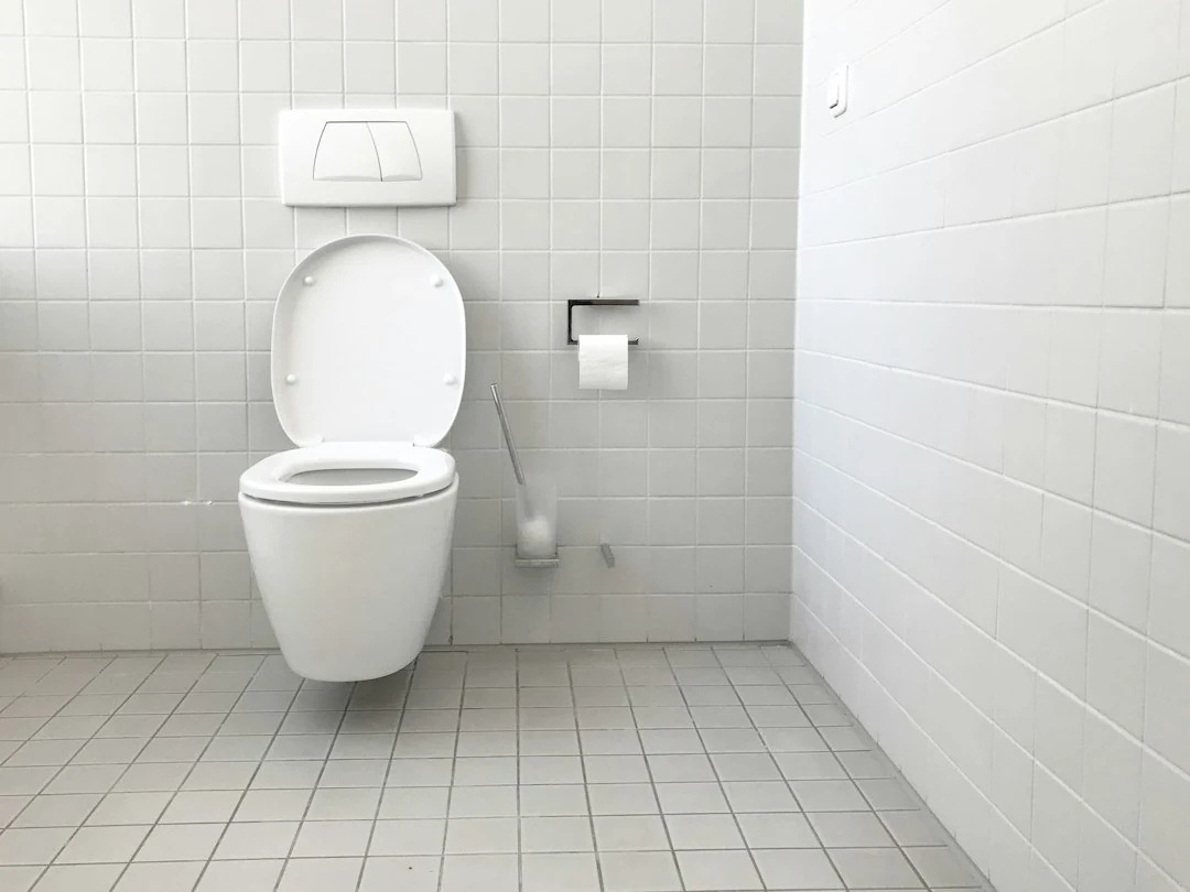 Contrôle de toilettes bouchées avec ventouse et diagnostic de canalisation
