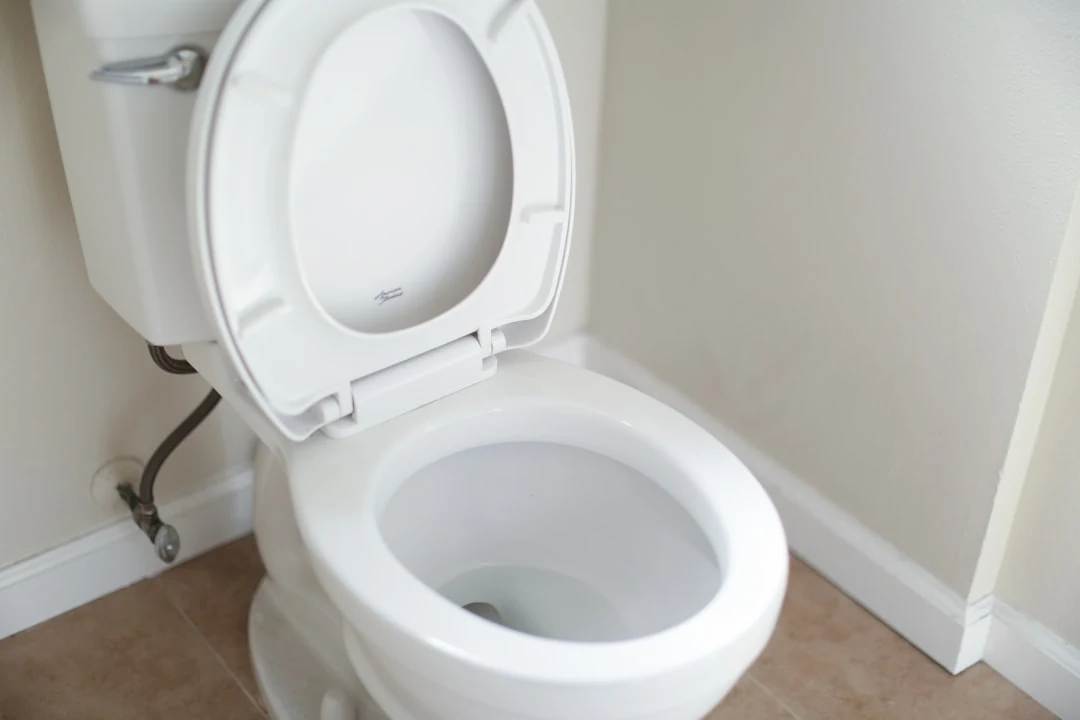 WC bouché par un bloc désodorisant avec intervention de débouchage plomberie