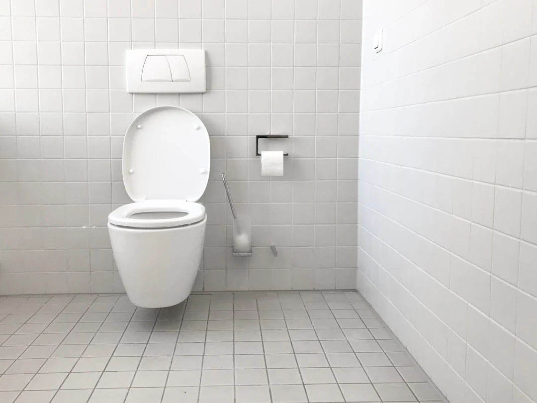 Bloc désodorisant coincé dans des toilettes avec contrôle avant débouchage